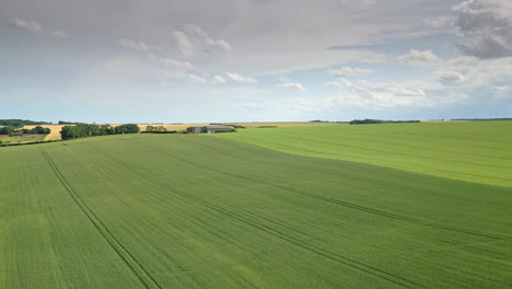 aerial footage of lincolnshire, with a summer crop of wheat and barley, and a small country road cutting through the rural scene, tractor tracks