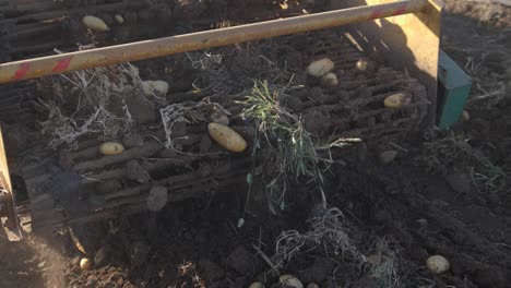 close-up slow motion shot of a potato harvesting machine in action as it digs up and separates the potatoes from the dirt