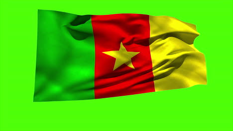 cameroon national flag blowing in the breeze