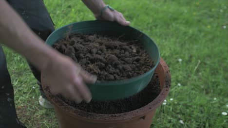 sieving soil to remove any rocks and roots