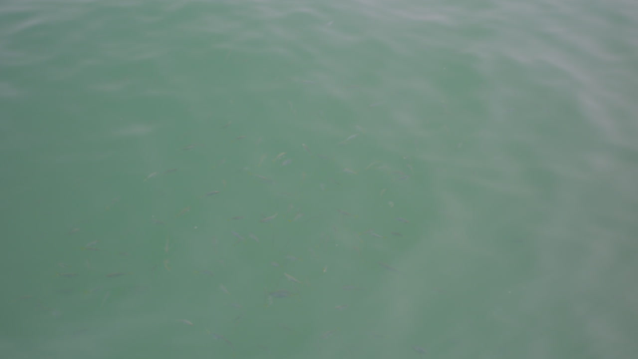 General Shot Crystal clear water of the beaches of Mancora Peru.