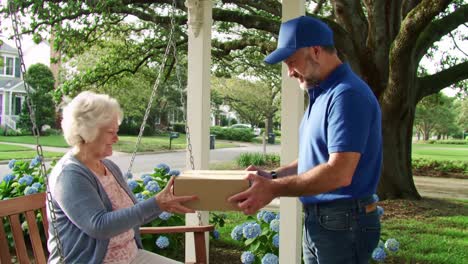 a heartwarming surprise: an elderly woman receives a special package while enjoying the serenity of her garden swing amidst beautiful hydrangeas
