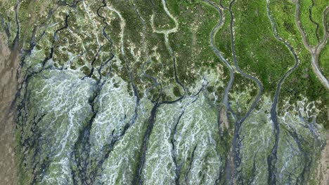 Top-view-over-river-delta-and-tidal-marshes-in-Oostvoorne,-the-Netherlands