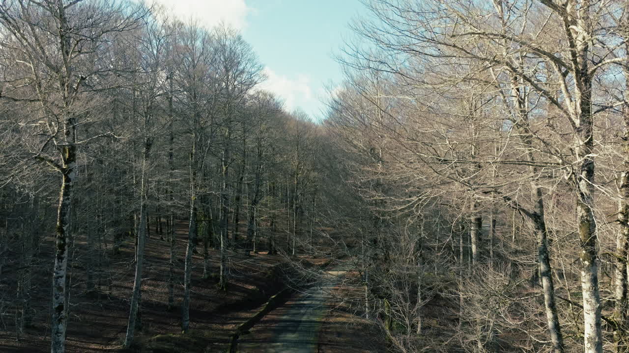 Italian Mountain Road With Dry Trees After Autumn