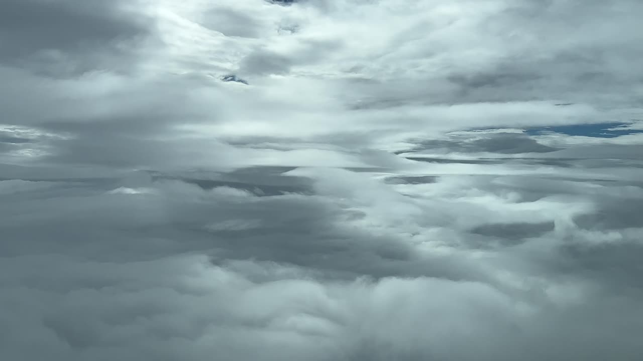 Flying serenely across the sky