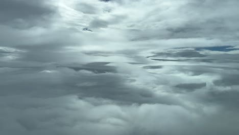 volando serenamente a través del cielo