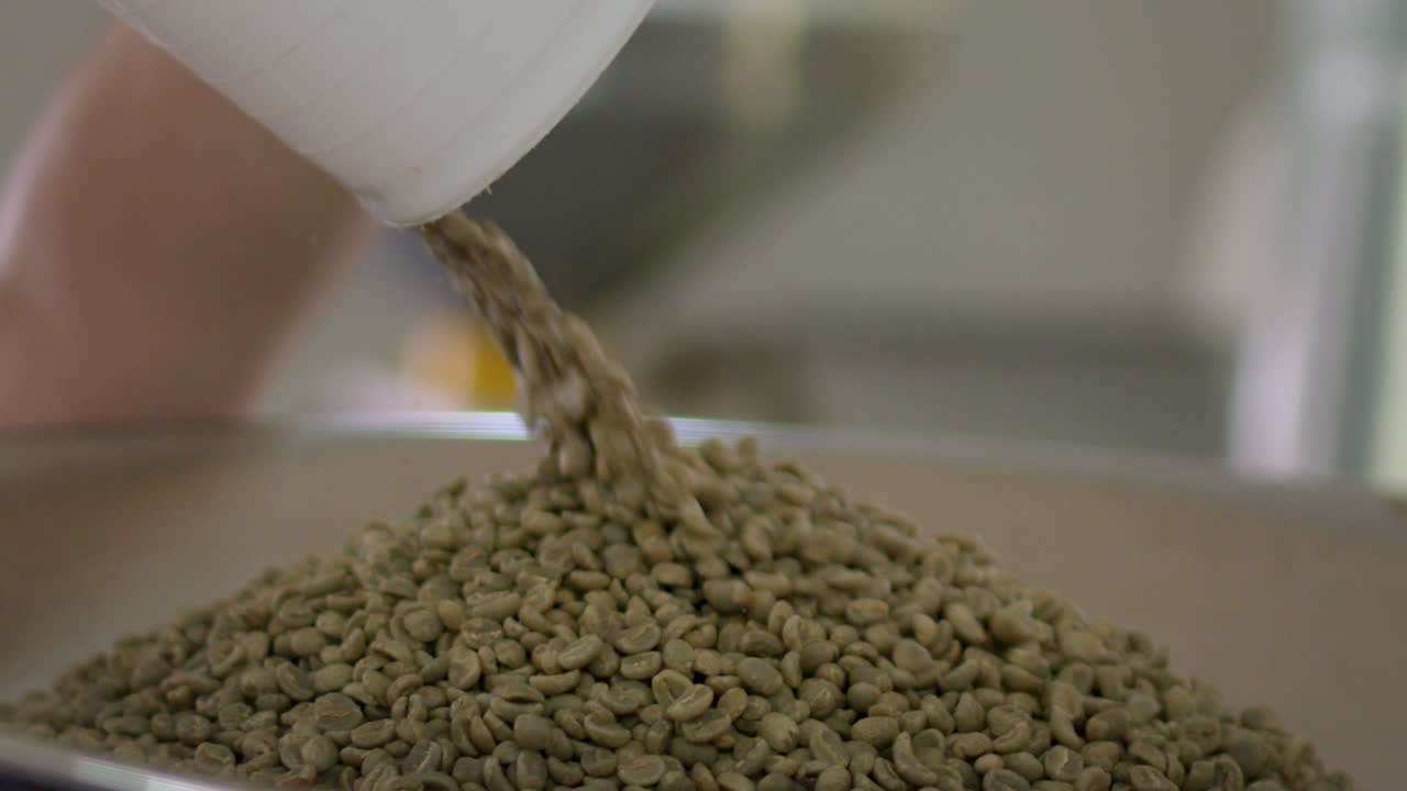 Pouring Green Coffee Beans for Roasting
