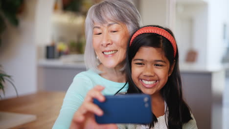 home, selfie and grandmother with girl