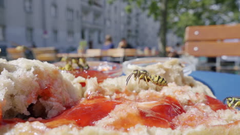 slow motion wasp flying over bread and jam on table outside in summer. people in background. macro insects