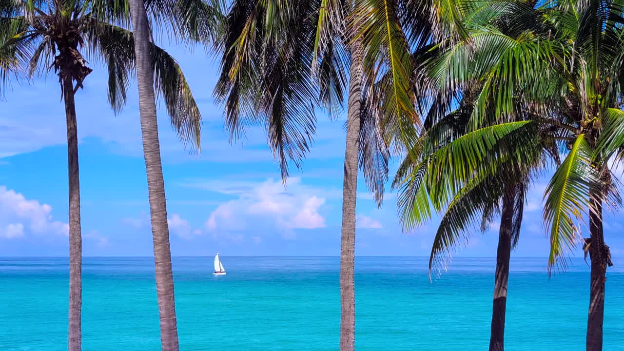 Boat sailing in tropical turquoise blue sea with palm trees