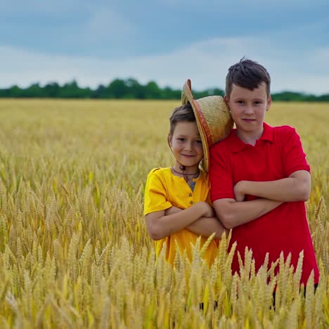 child in wheat field