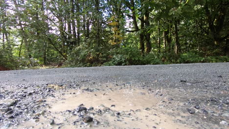 adventure racer athlete running and splashing on mud puddle