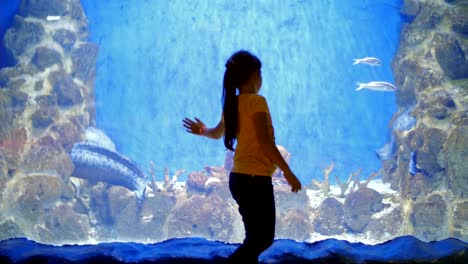 friendship of the little girl and the tortoise. child impressions about the underwater world and its inhabitants