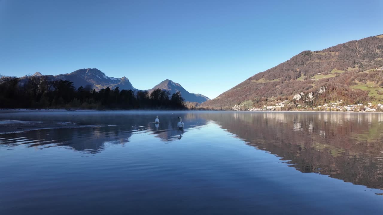 Walensee Lake Walen Switzerland alpine nature outdoor mountains water reflection with swan birds
