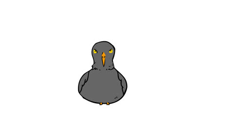 cartoon animals animation 20