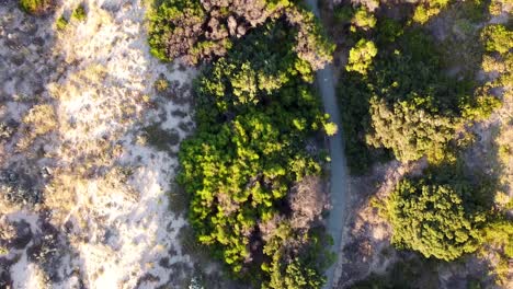 Aerial---drone-birds-eye-shot-tracking-cyclists-riding-bikes-along-beach-path
