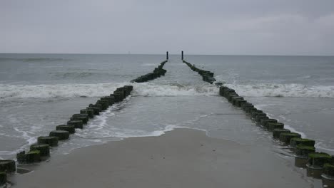 shore of the north sea near domburg