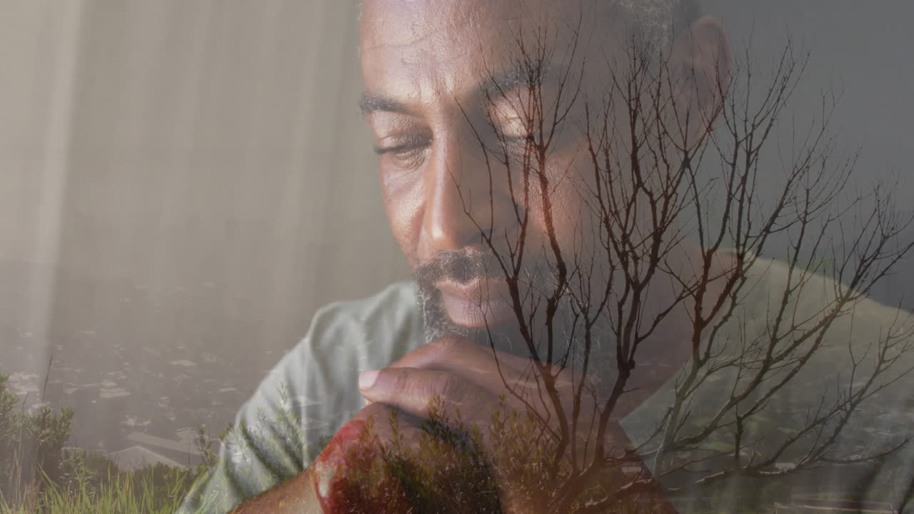 Overlay of bare trees and landscape creating reflective mood with thoughtful man