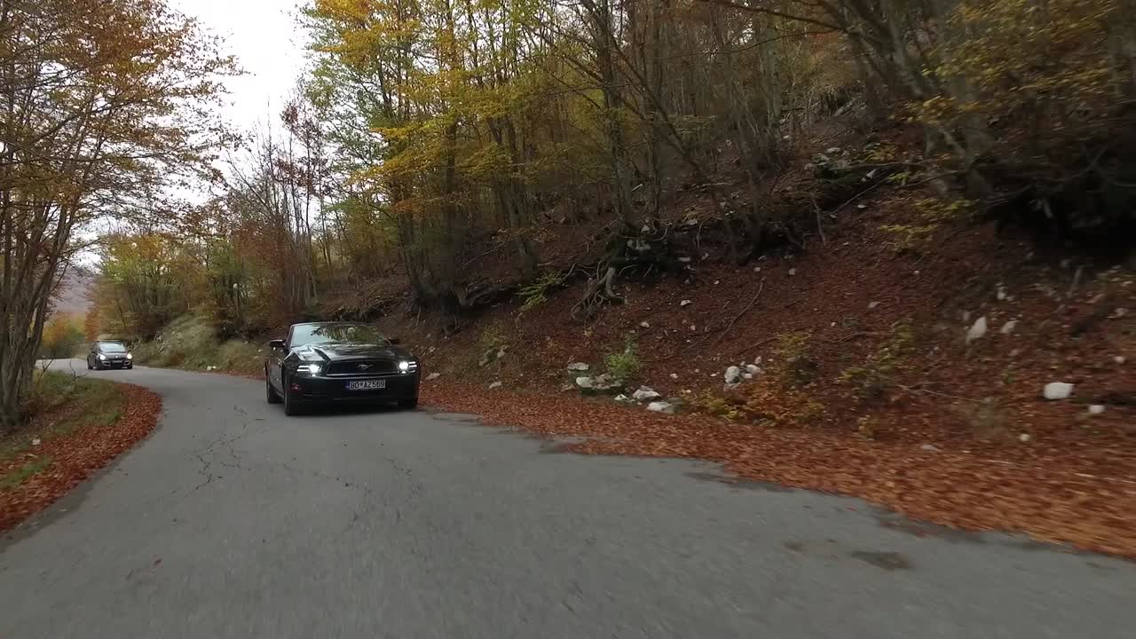 산의 숲을 가로질러 가을 운전