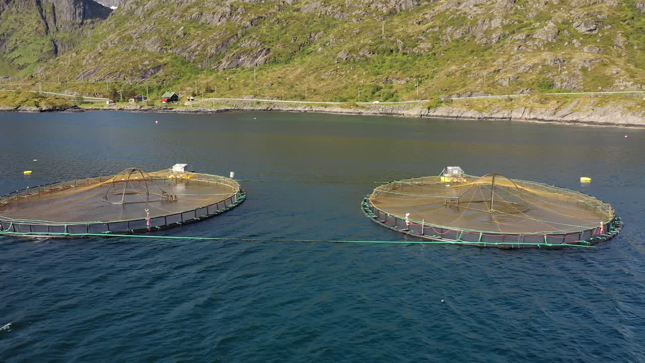 노르웨이에서 연어  ⁇ 시를 하는 공중 촬영