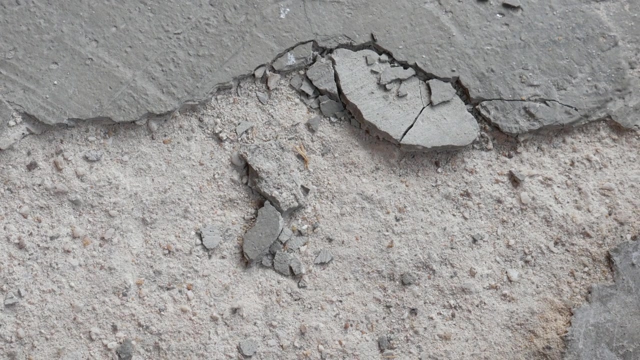 fragments from cracks in the cement floor