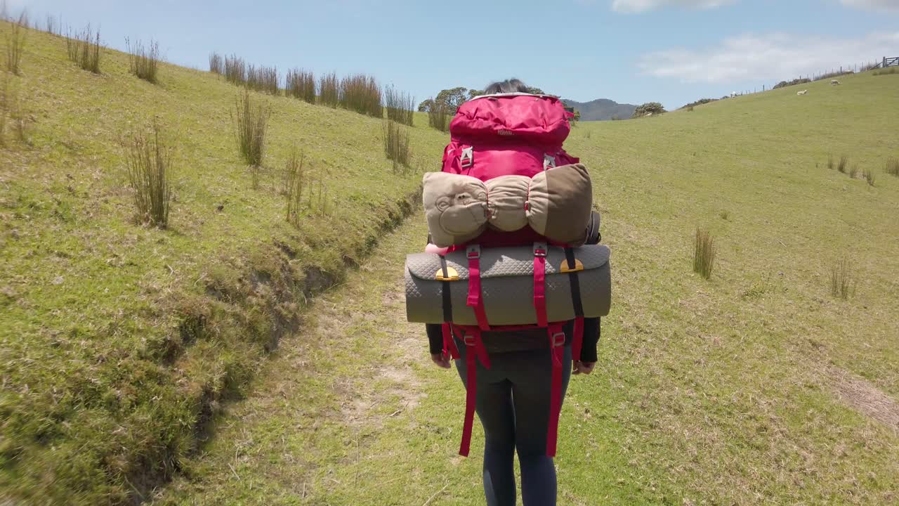 chica con mochila grande y equipo de camping está caminando cuesta arriba, prado verde