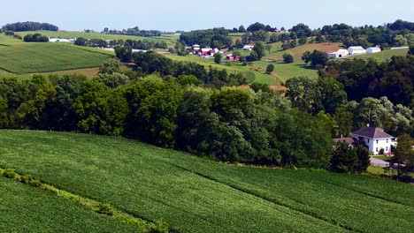 Eine-Luftaufnahme-Von-Ein-Paar-Häusern-Weit-Auseinander-In-Der-Ferne-Verteilt,-Umgeben-Von-Großen-Grünen-Ackerflächen-In-Pennsylvania-An-Einem-Sonnigen-Tag