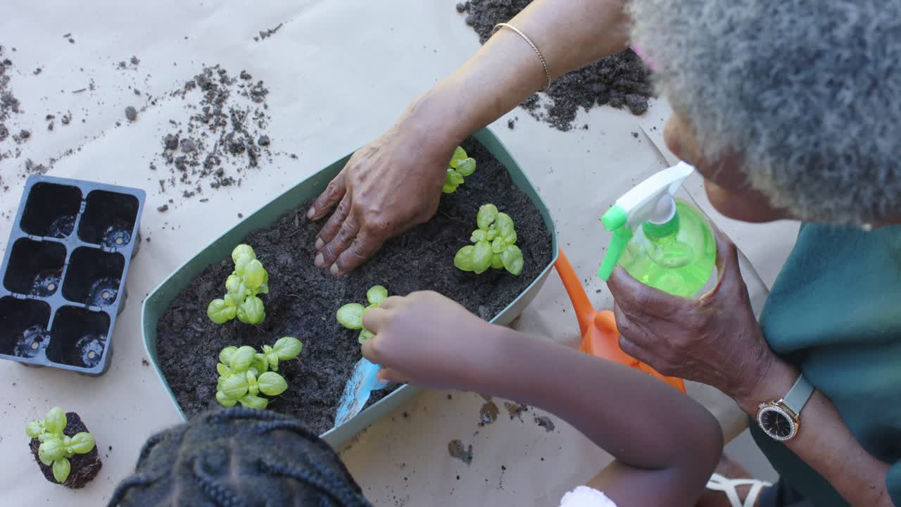 Adult guiding child are scooping soil and patting seedlings in table planter for planting
