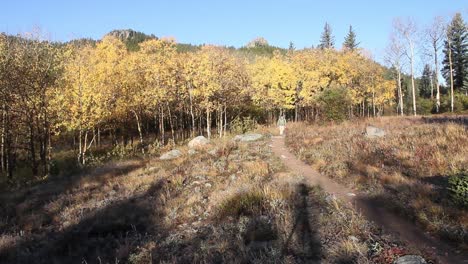 a solitary backpacker walks towards the camera with fall colors and aspen leaves in the background