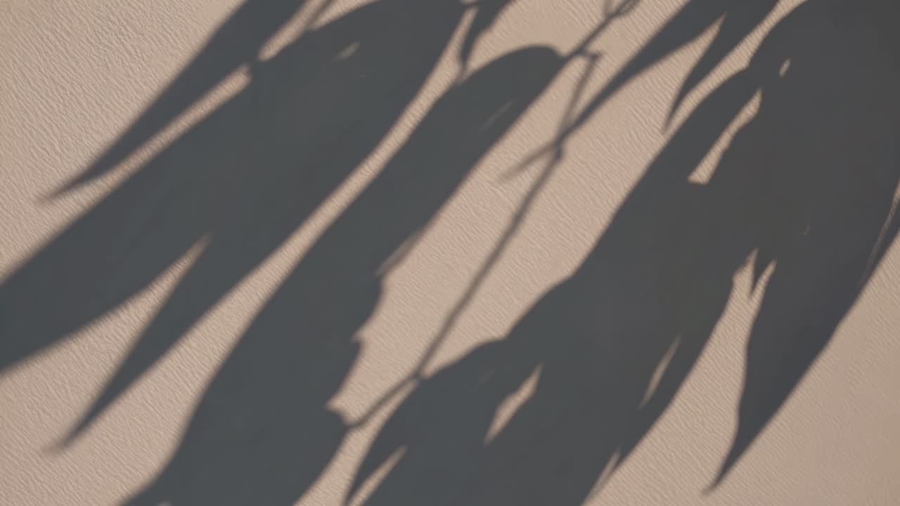 The video captures artistic shadows of leaves on a textured surface, creating a serene and abstract