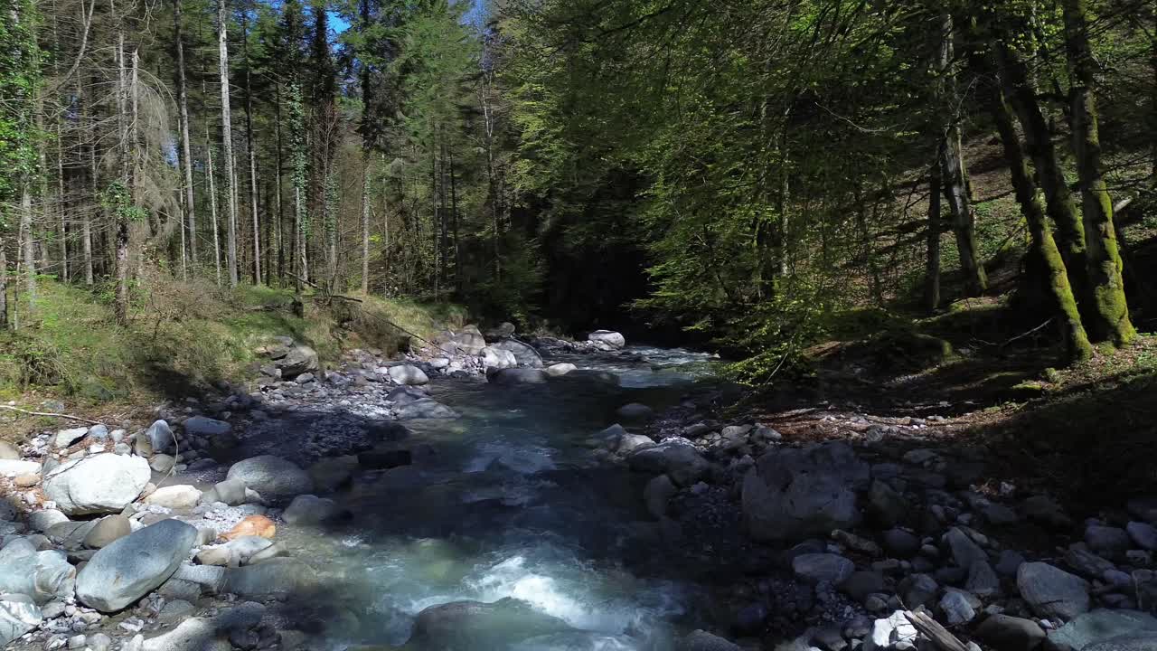 Crystal clear mountain river surrounded by forest