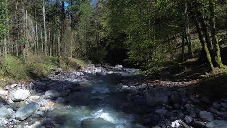 Crystal-clear-mountain-river-surrounded-by-forest