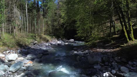 crystal clear mountain river surrounded by forest