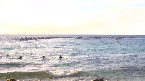 people in outrigger boats at whale shark watching in oslob, cebu, philippines. wide shot