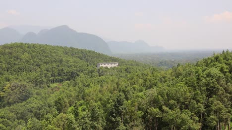 Gaharu-Tea-Plantation-and-agarwood-trees-in-a-valley-with-a-distant-building-and-mountains-near-Ipoh,-Malaysia