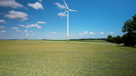 Wind-turbines-with-rotating-blades-in-the-middle-of-a-green-growing-wheat-field---push-in-low-altitude-aerial-flyover