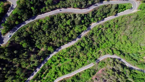 Una-Vista-Aérea-De-Una-Carretera-Verde-Simétrica-Con-Coches-Circulando.