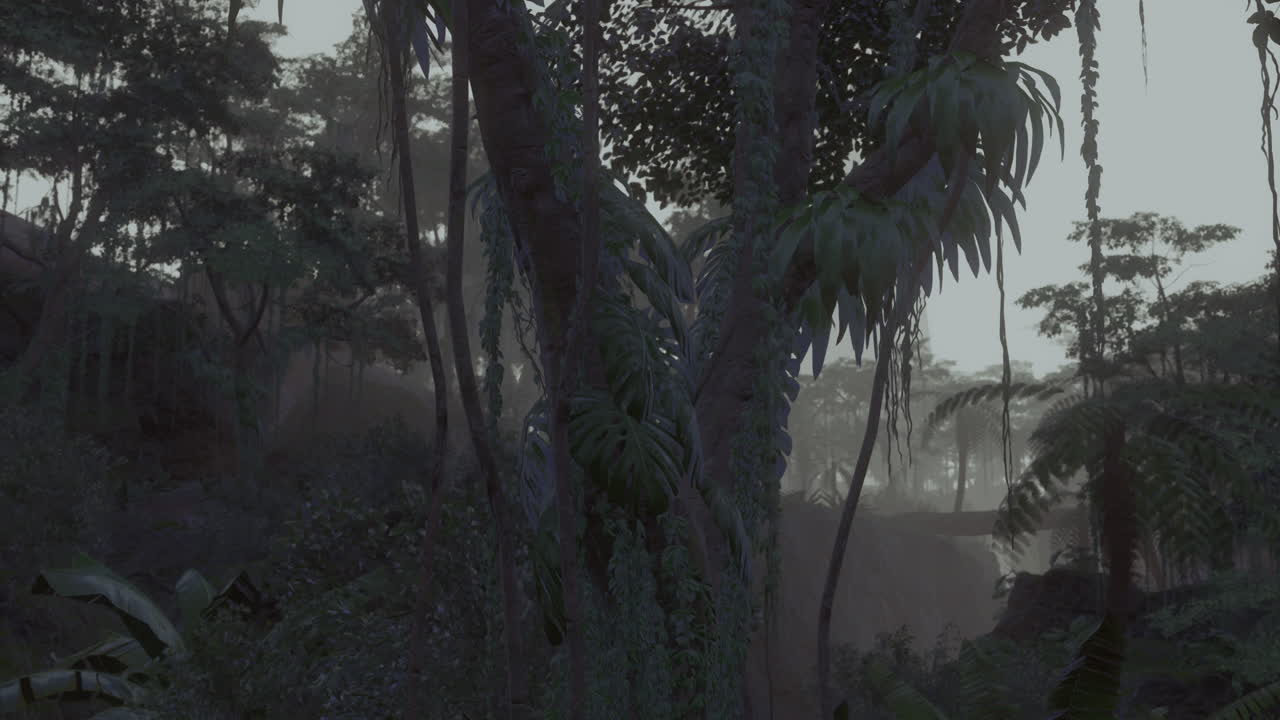 Mysterious jungle shrouded in fog reveals hidden wonders at dawn
