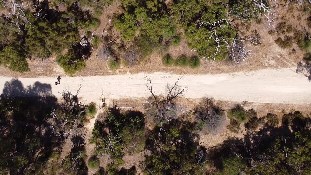 vista aérea de las aves sobre un excursionista caminando por el sendero del bosque, perth