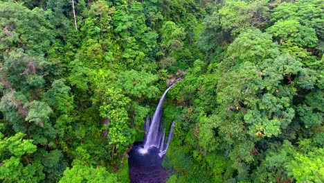 aerial view of tiu kelep waterfall, jungles of lombok - tilt down, drone shot