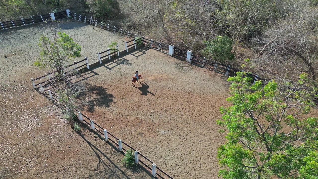 A woman riding a brown horse through a dry landscape with green trees and brown branches, capturing a natural rustic environment with earthy tones, outdoor adventure, and a warm countryside feel.