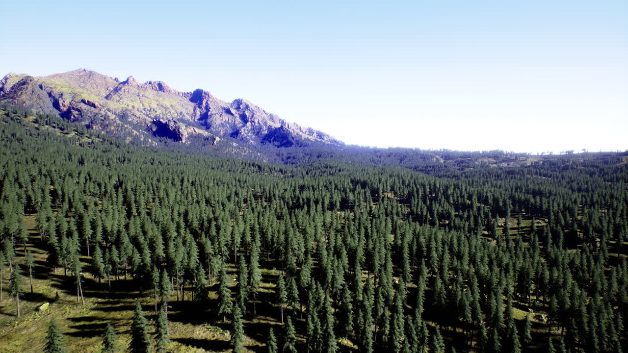 Esplora la bellezza serena di una foresta vicino a maestose cime montuose