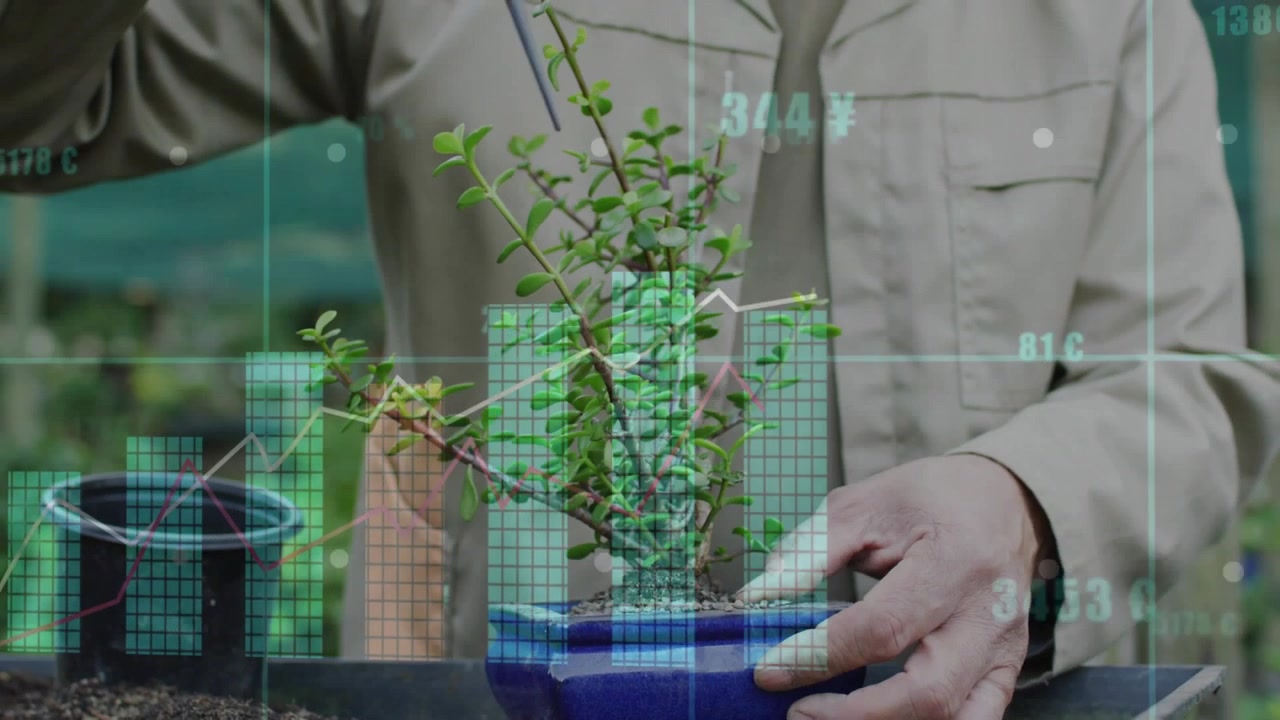 Uomo che posiziona un paletto vicino al tronco di un bonsai per stabilizzare il vaso per la crescita, con grafici finanziari che appaiono intorno al vaso