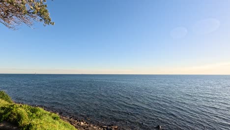 calm ocean waves and lush green coastline