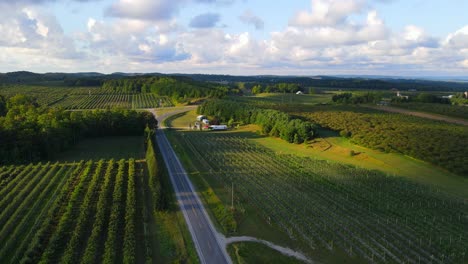 green countryside landscape and road in michigan, aerial drone view