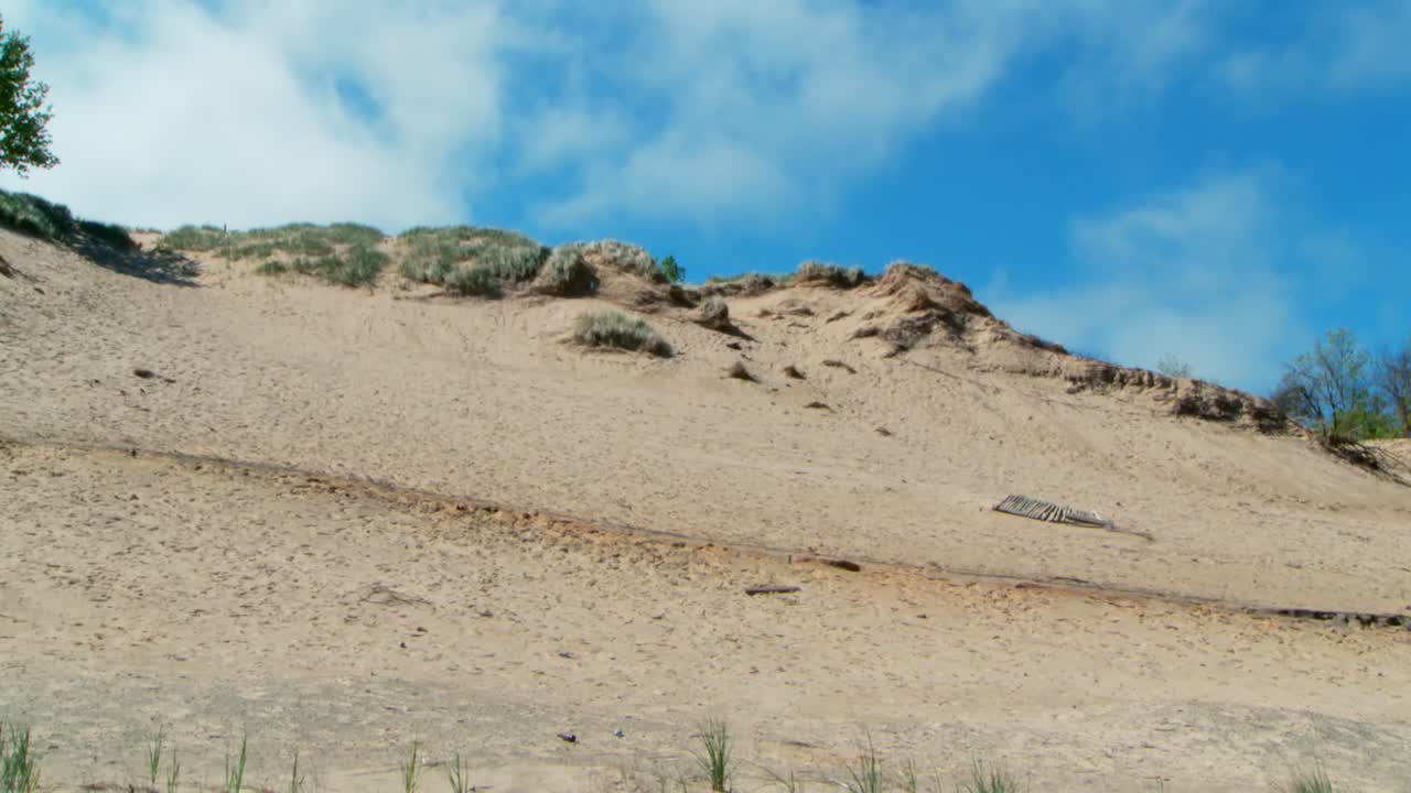 Sand dune landscape with a tree and blue sky
