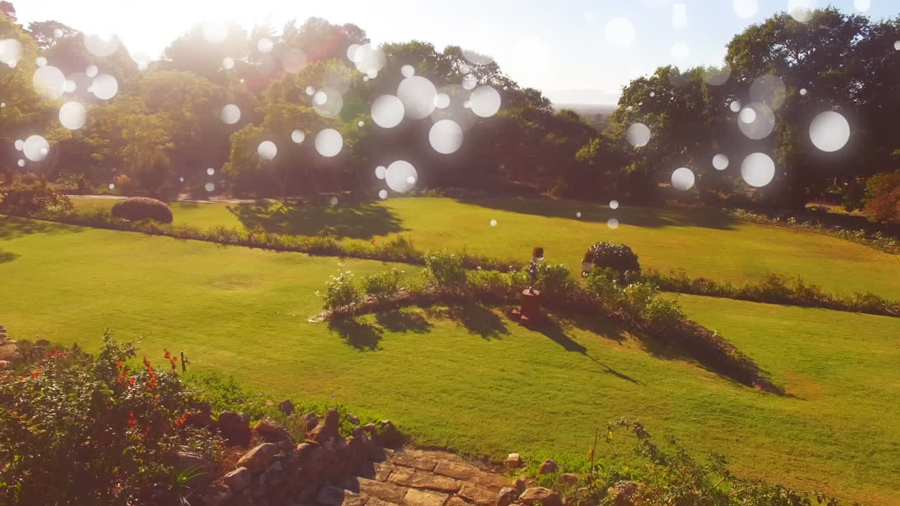 빛나는 보케 조명