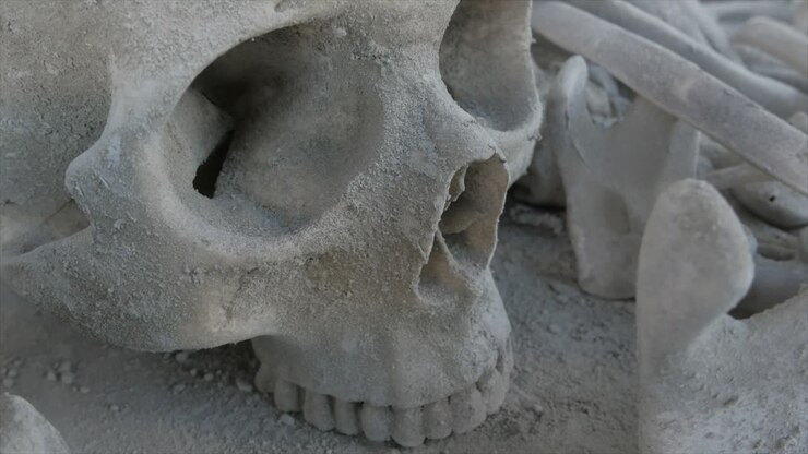 Immagine fissa di dettaglio di teschio umano e ossa nella polvere
