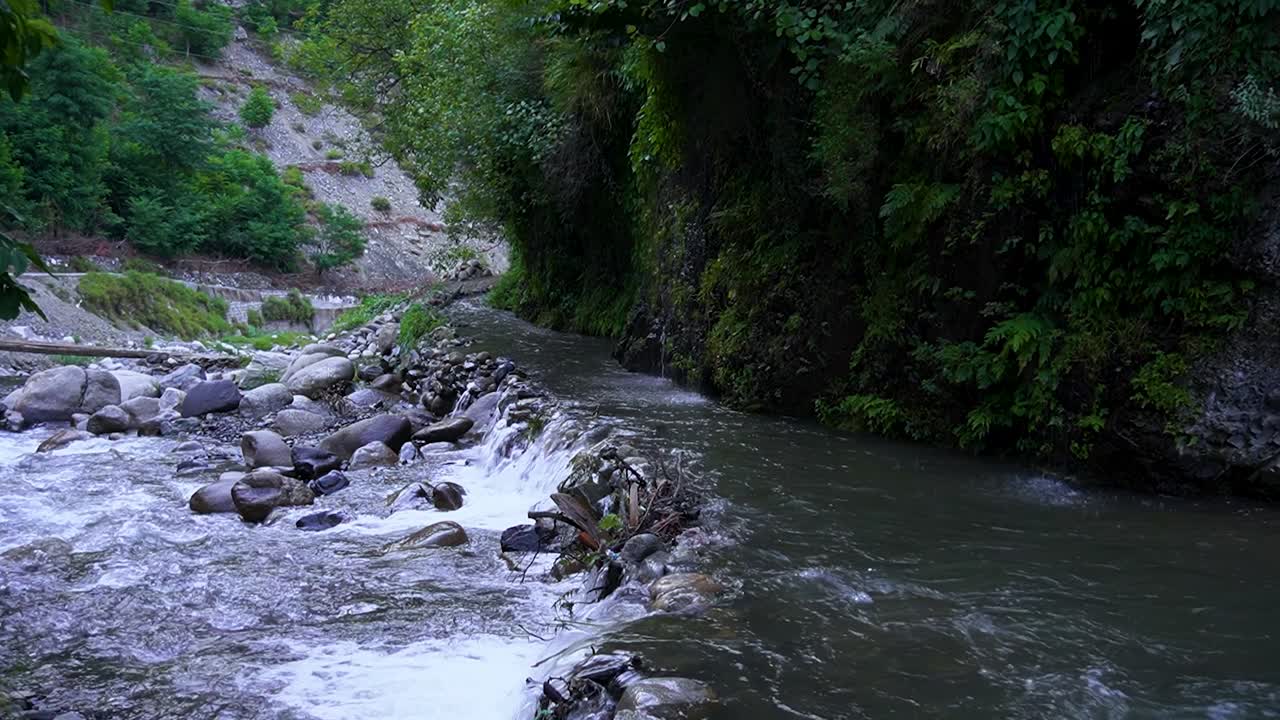 River and stream in the jungle rainforest