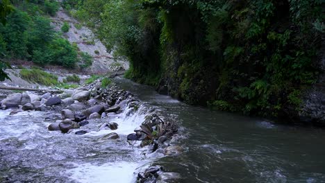 Río-Y-Arroyo-En-La-Selva-Tropical